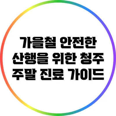 가을철 안전한 산행을 위한 청주 주말 진료 가이드