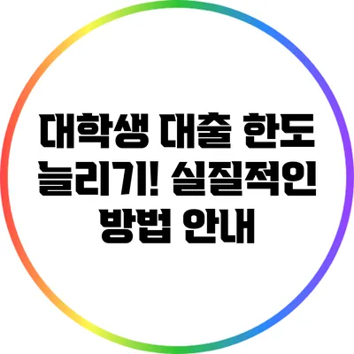 대학생 대출 한도 늘리기! 실질적인 방법 안내