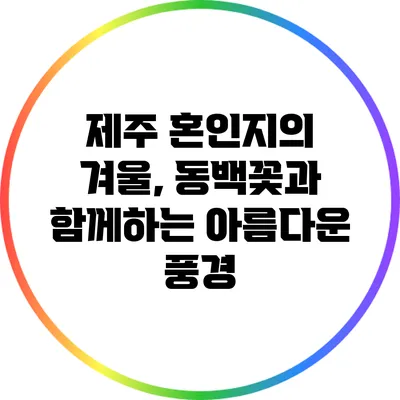 제주 혼인지의 겨울, 동백꽃과 함께하는 아름다운 풍경