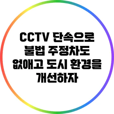 CCTV 단속으로 불법 주정차도 없애고 도시 환경을 개선하자