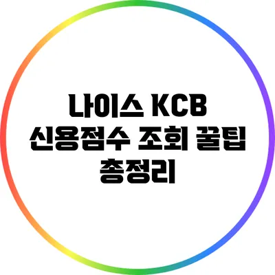 나이스 KCB 신용점수 조회 꿀팁 총정리