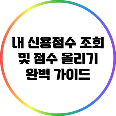 내 신용점수 조회 및 점수 올리기: 완벽 가이드