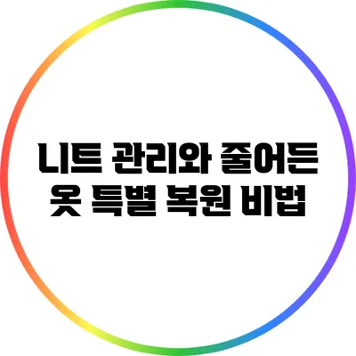 니트 관리와 줄어든 옷 특별 복원 비법