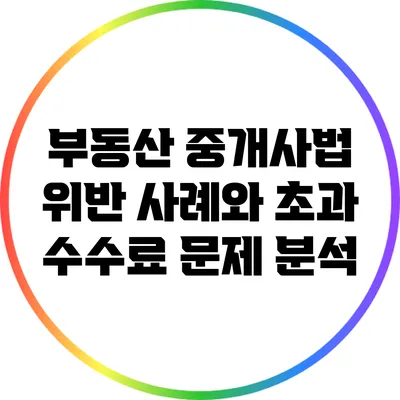 부동산 중개사법 위반 사례와 초과 수수료 문제 분석