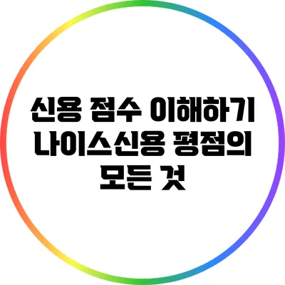 신용 점수 이해하기: 나이스신용 평점의 모든 것