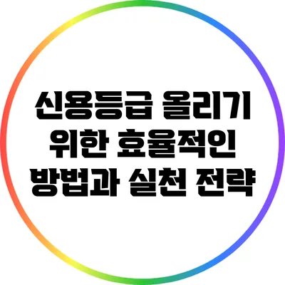 신용등급 올리기 위한 효율적인 방법과 실천 전략