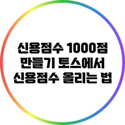 신용점수 1000점 만들기: 토스에서 신용점수 올리는 법