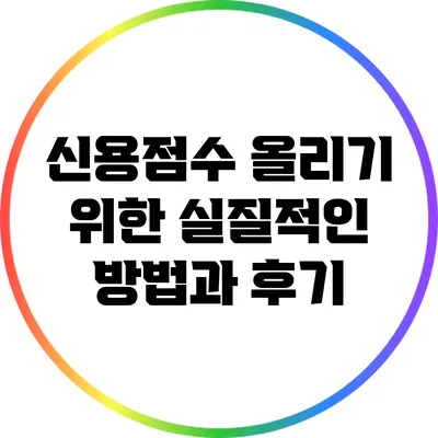 신용점수 올리기 위한 실질적인 방법과 후기