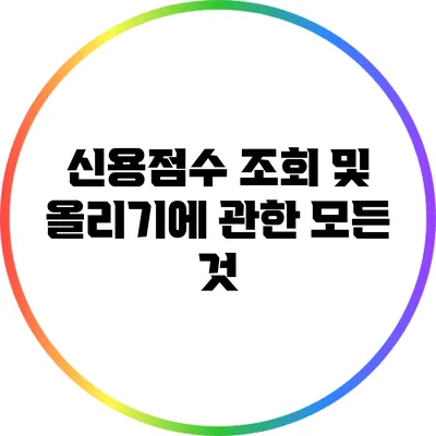 신용점수 조회 및 올리기에 관한 모든 것