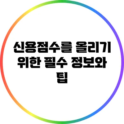 신용점수를 올리기 위한 필수 정보와 팁