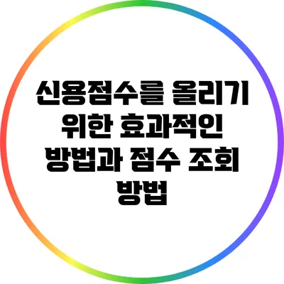 신용점수를 올리기 위한 효과적인 방법과 점수 조회 방법