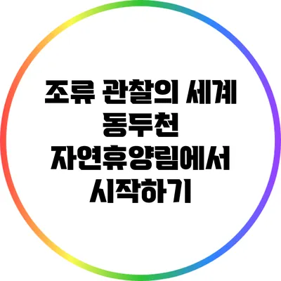 조류 관찰의 세계: 동두천 자연휴양림에서 시작하기