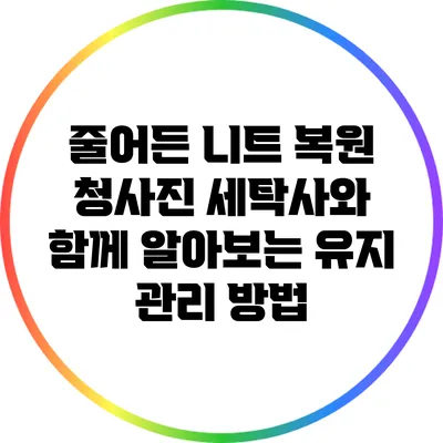 줄어든 니트 복원 청사진: 세탁사와 함께 알아보는 유지 관리 방법