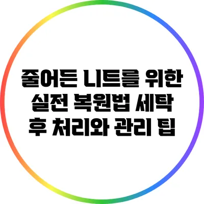 줄어든 니트를 위한 실전 복원법: 세탁 후 처리와 관리 팁