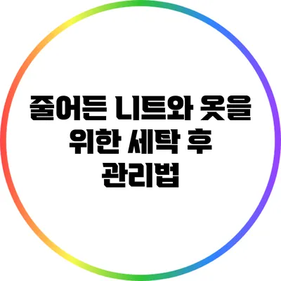 줄어든 니트와 옷을 위한 세탁 후 관리법