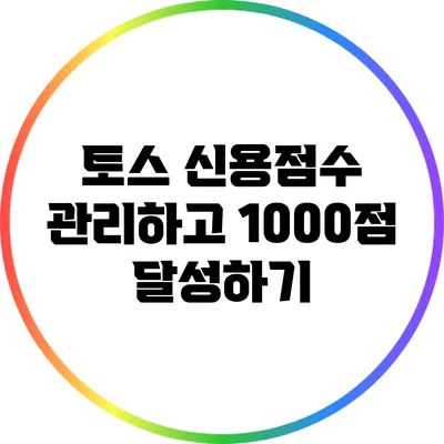 토스 신용점수 관리하고 1000점 달성하기