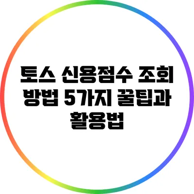 토스 신용점수 조회 방법 5가지 꿀팁과 활용법