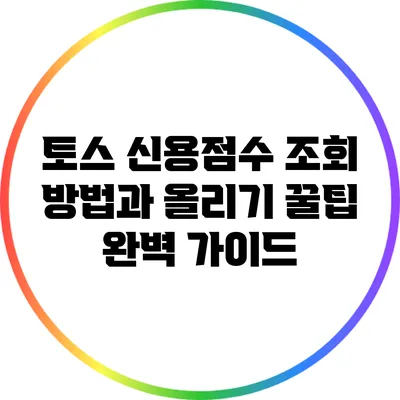 토스 신용점수 조회 방법과 올리기 꿀팁 완벽 가이드