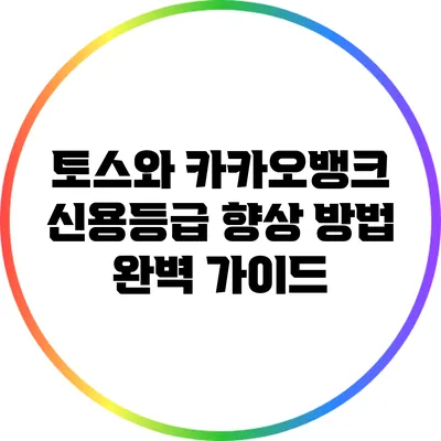 토스와 카카오뱅크 신용등급 향상 방법 완벽 가이드