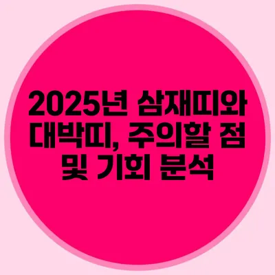 2025년 삼재띠와 대박띠, 주의할 점 및 기회 분석