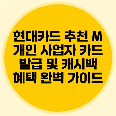 현대카드 추천 M 개인 사업자 카드 발급 및 캐시백 혜택 완벽 가이드