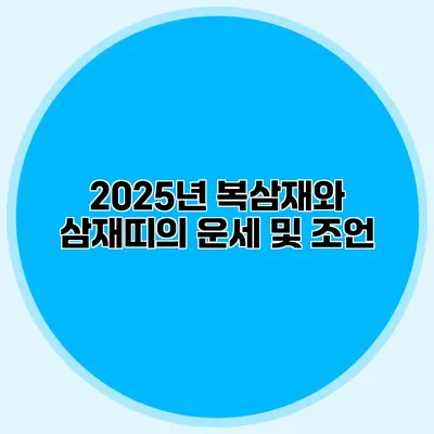 2025년 복삼재와 삼재띠의 운세 및 조언