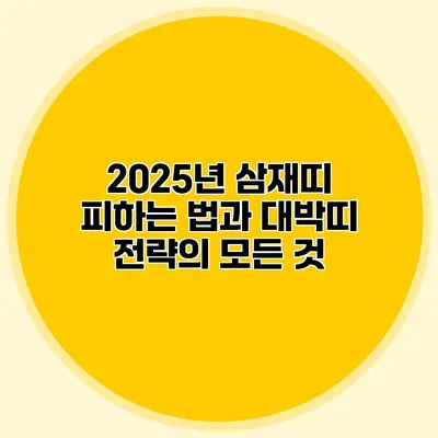 2025년 삼재띠 피하는 법과 대박띠 전략의 모든 것