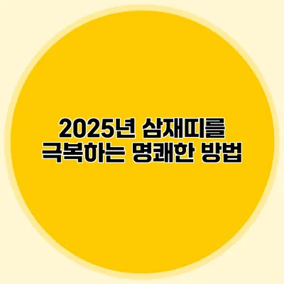 2025년 삼재띠를 극복하는 명쾌한 방법