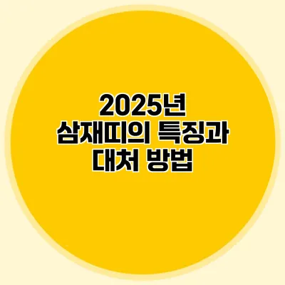 2025년 삼재띠의 특징과 대처 방법