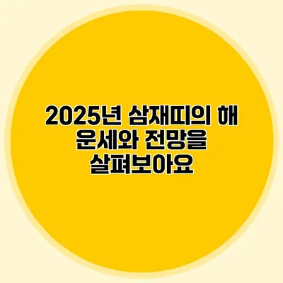 2025년 삼재띠의 해: 운세와 전망을 살펴보아요