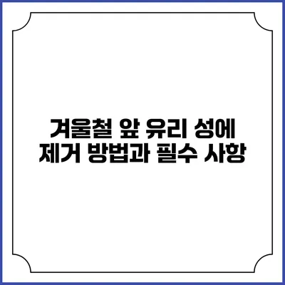 겨울철 앞 유리 성에 제거 방법과 필수 사항