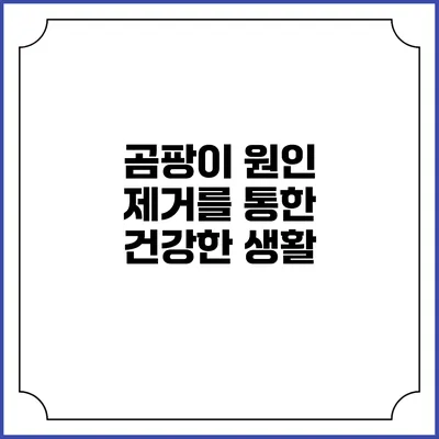 곰팡이 원인 제거를 통한 건강한 생활