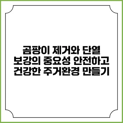 곰팡이 제거와 단열 보강의 중요성: 안전하고 건강한 주거환경 만들기