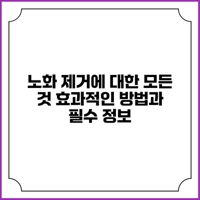 노화 제거에 대한 모든 것: 효과적인 방법과 필수 정보