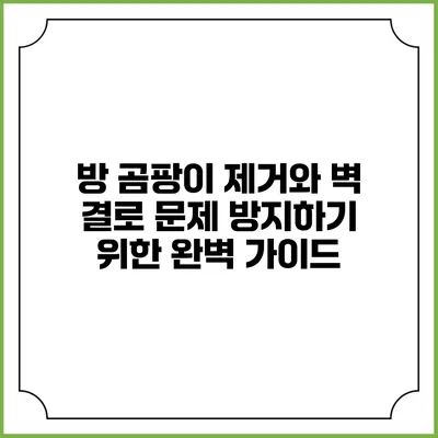 방 곰팡이 제거와 벽 결로 문제 방지하기 위한 완벽 가이드