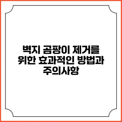 벽지 곰팡이 제거를 위한 효과적인 방법과 주의사항