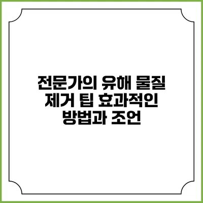 전문가의 유해 물질 제거 팁: 효과적인 방법과 조언