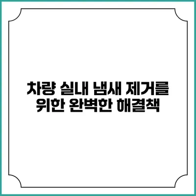 차량 실내 냄새 제거를 위한 완벽한 해결책