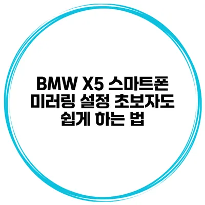 BMW X5 스마트폰 미러링 설정 초보자도 쉽게 하는 법