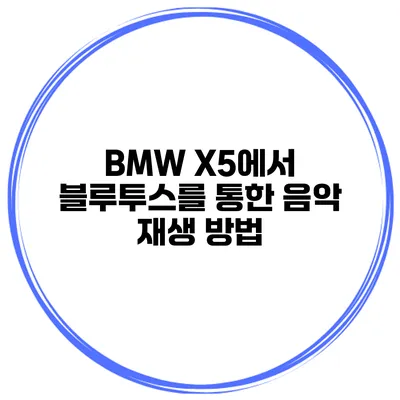 BMW X5에서 블루투스를 통한 음악 재생 방법