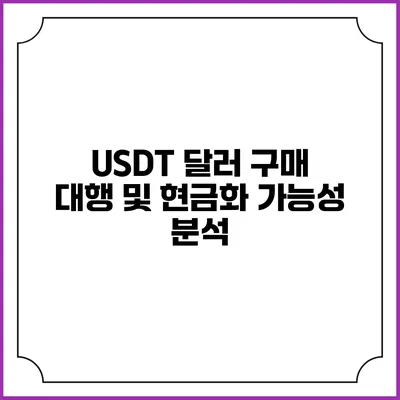 USDT 달러 구매 대행 및 현금화 가능성 분석