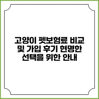 고양이 펫보험료 비교 및 가입 후기: 현명한 선택을 위한 안내