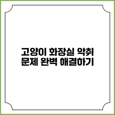 고양이 화장실 악취 문제 완벽 해결하기