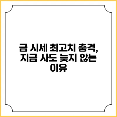 금 시세 최고치 충격, 지금 사도 늦지 않는 이유