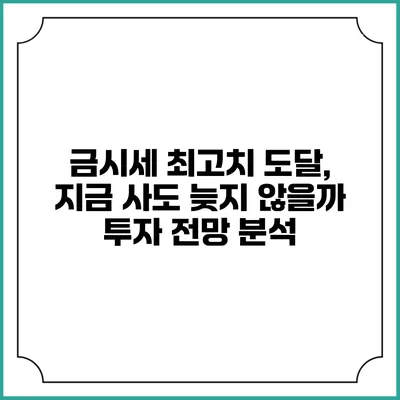 금시세 최고치 도달, 지금 사도 늦지 않을까? 투자 전망 분석