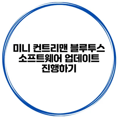 미니 컨트리맨 블루투스 소프트웨어 업데이트 진행하기