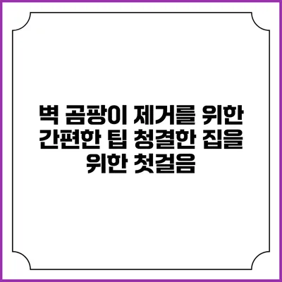 벽 곰팡이 제거를 위한 간편한 팁: 청결한 집을 위한 첫걸음