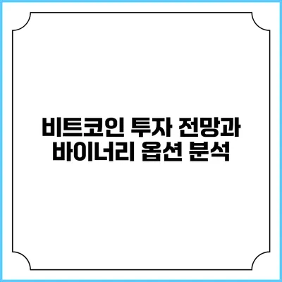 비트코인 투자 전망과 바이너리 옵션 분석