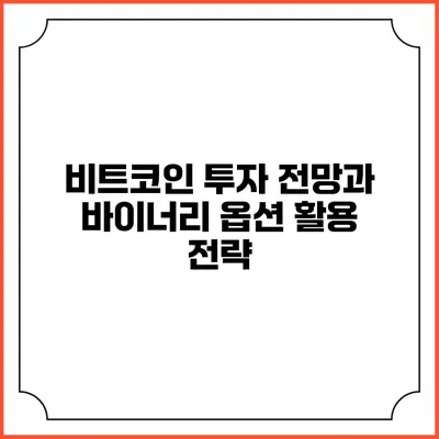비트코인 투자 전망과 바이너리 옵션 활용 전략