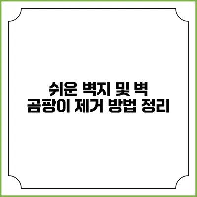 쉬운 벽지 및 벽 곰팡이 제거 방법 정리